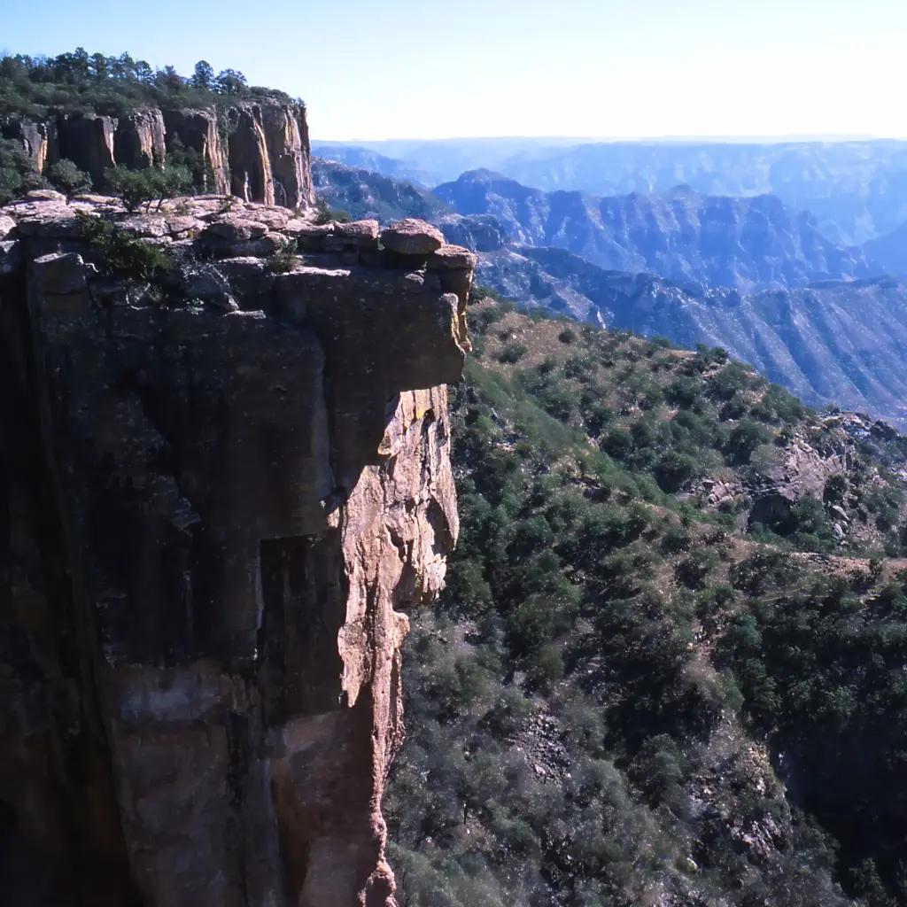 BARRANCAS DEL COBRE NAVIDAD O FIN DE AÑO DESDE: $19,999